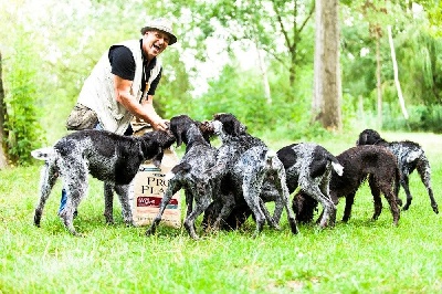 vom land der somme - Mes chiens à l'honneur pour Purina USA  