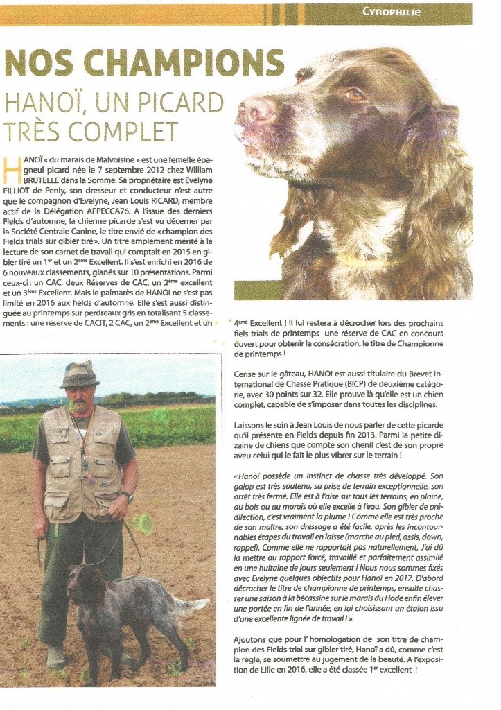 vom land der somme - INFOS CHASSE 76  Hanoï du Marais de la Malvoisine à l'honneur 