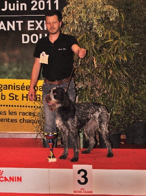 vom land der somme - Expo Canine Internationale Douai  11 et 12 Juin 2011