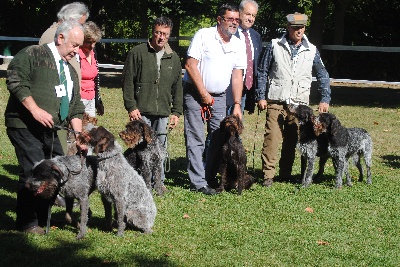 vom land der somme - NATIONALE ELEVAGE à Compiègne le 2 Septembre 2012