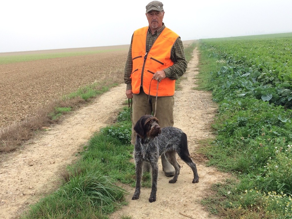 vom land der somme - IANE Vom land der Somme Fields Trials GT saison 2017