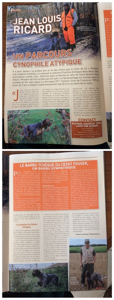 vom land der somme - Un parcours cynophile atypique