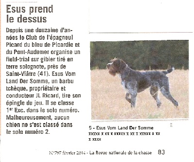 vom land der somme - Field Trial d'Automne à St Viatre
