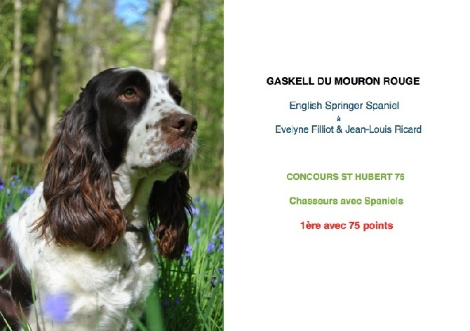 vom land der somme - RESULTATS DES CONCOURS 2016 Gaskell du Mouron Rouge