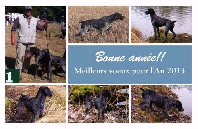 vom land der somme - VOEUX