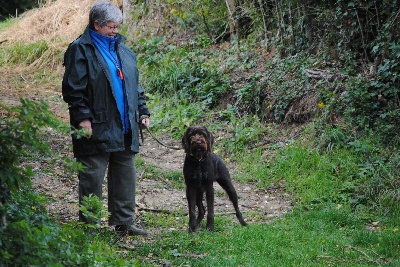 vom land der somme - Sejour en France pour Chris & Raymond , des amis de Belgique