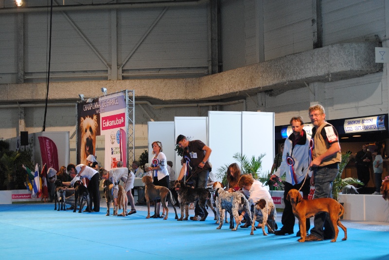 CHAMPIONNAT DE FRANCE Expo de METZ Juillet 2012